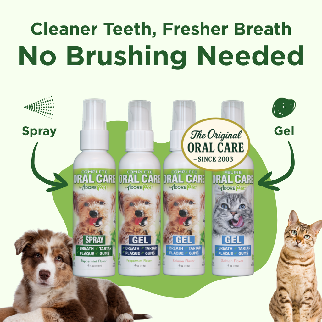 Oral Care Spray