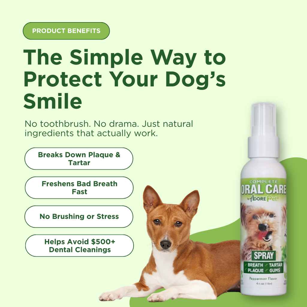 Oral Care Spray